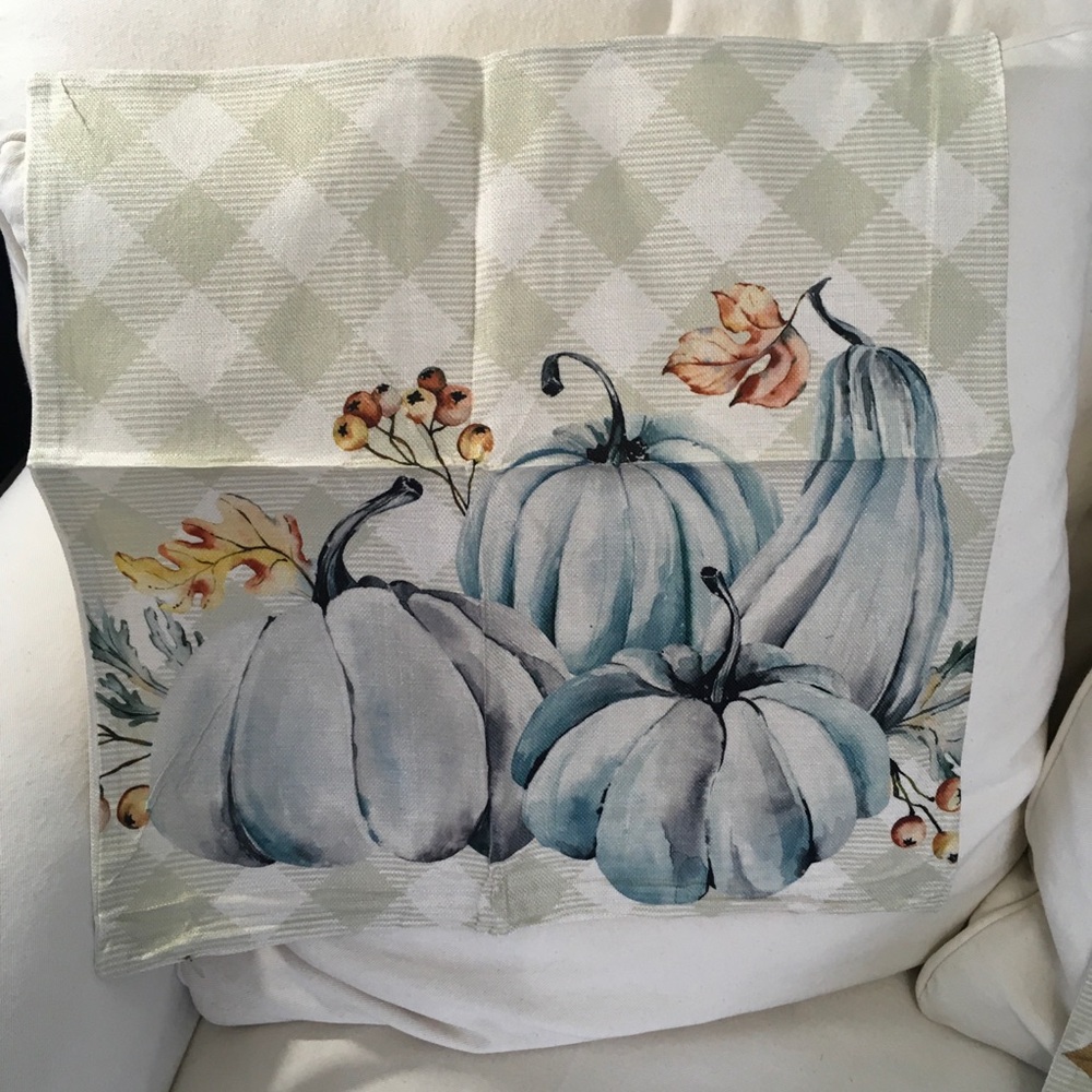 3 Fall Pumpkin Decorative Pillow Covers - Picture 2 of 6
